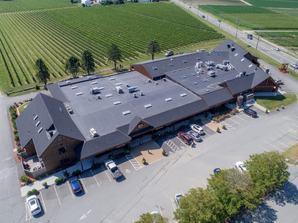 Newport vineyards 1